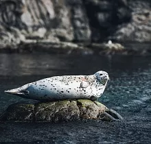 ополнительное фото тура 