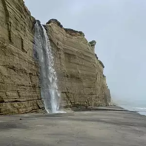 Фото отзыва