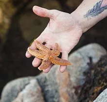 ополнительное фото тура 