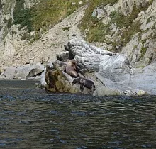 ополнительное фото тура 