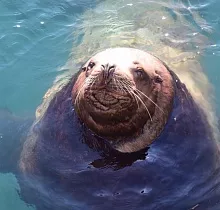 ополнительное фото тура 