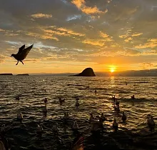 ополнительное фото тура 