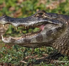 ополнительное фото тура 