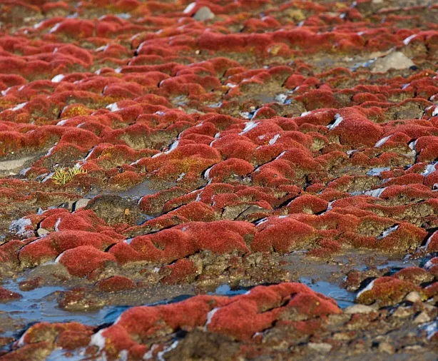 Изображение статьи Русская Арктика: личный опыт посещения земли Франца-Иосифа в составе научной экспедиции Туры России