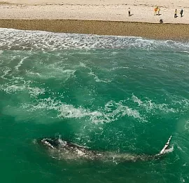 Тур Национальный парк «Берингия»