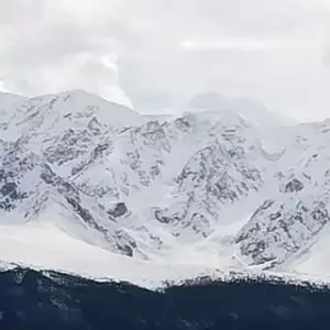 Фото отзыва