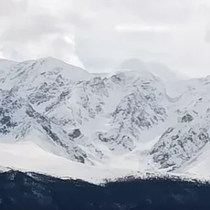 Фото отзыва