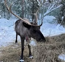 ополнительное фото тура 