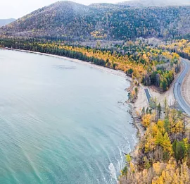 Тур Байкальский гербарий