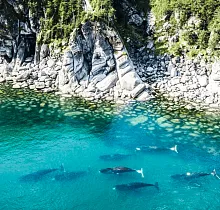 ополнительное фото тура 