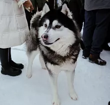 ополнительное фото тура 