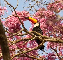 ополнительное фото тура 