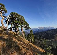 ополнительное фото тура 