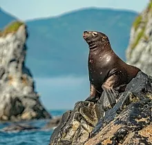 ополнительное фото тура 