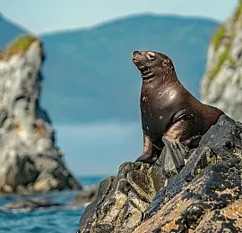 Тур Мини-тур на Камчатку