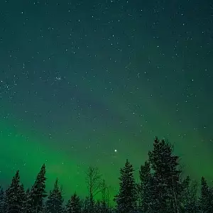 Фото отзыва