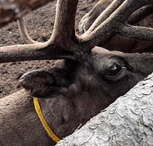 ополнительное фото тура 