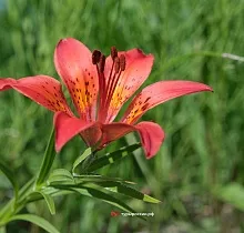 ополнительное фото тура 