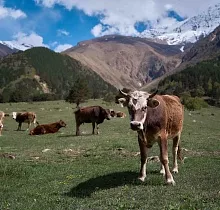 ополнительное фото тура 