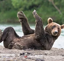 ополнительное фото тура 