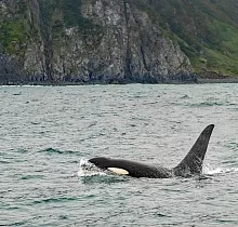 ополнительное фото тура 