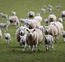 ополнительное фото тура 