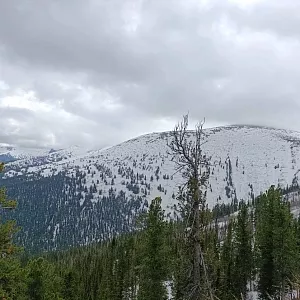 Фото отзыва