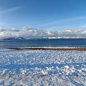 Фото отзыва