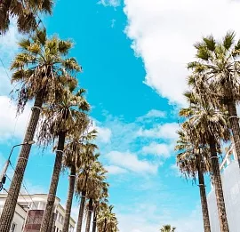 Тур Майские праздники в Абхазии