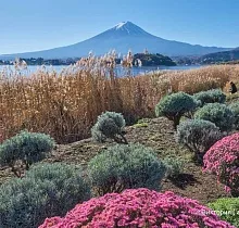 Фото дня 3 тура ПОЛНЫЙ ТУР ПО ЯПОНИИ 15 ДНЕЙ