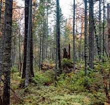 ополнительное фото тура 