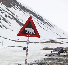 Фото дня 7 тура Круиз на Шпицберген из Мурманска без визы