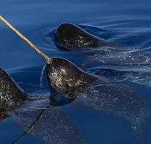 ополнительное фото тура 