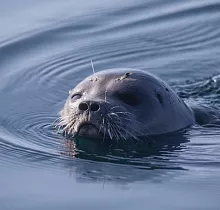 ополнительное фото тура 