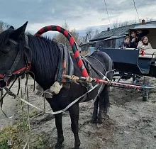 ополнительное фото тура 