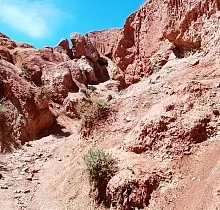 ополнительное фото тура 