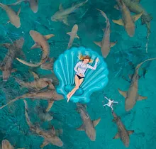 Фото дня 3 тура Туры на Мальдивы из Москвы 