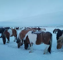 ополнительное фото тура 