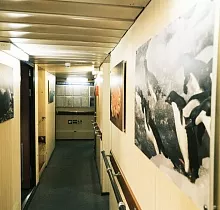 Место проживания в туре 