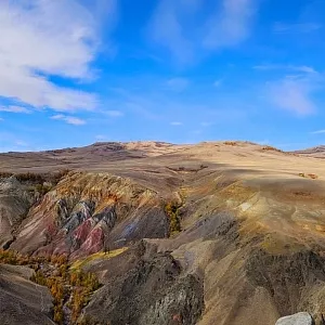 Фото отзыва