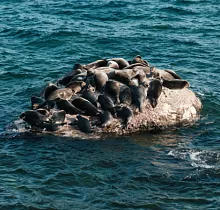 ополнительное фото тура 