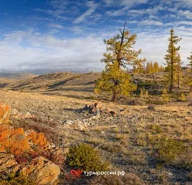 Тур Алтайская кругосветка 