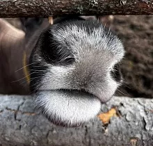 ополнительное фото тура 