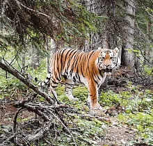 ополнительное фото тура 