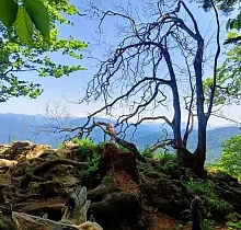 ополнительное фото тура 