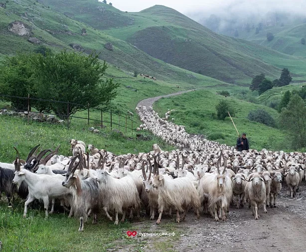 Изображение статьи Экскурсия из Владикавказа: Башенный Комплекс Ний  Туры России