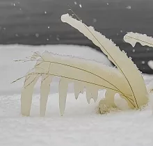 ополнительное фото тура 