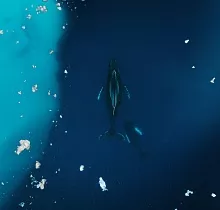 ополнительное фото тура 