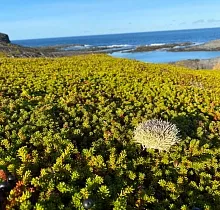 ополнительное фото тура 