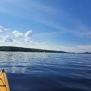 Фото отзыва